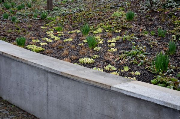 Cost of Concrete Wall Construction in Monroe