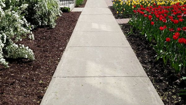 Cost of Sidewalk Concrete Replacement in Monroe