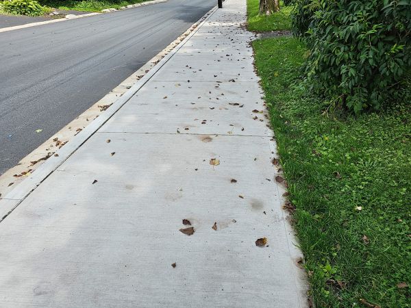Cost of Sidewalk Renovation in Monroe