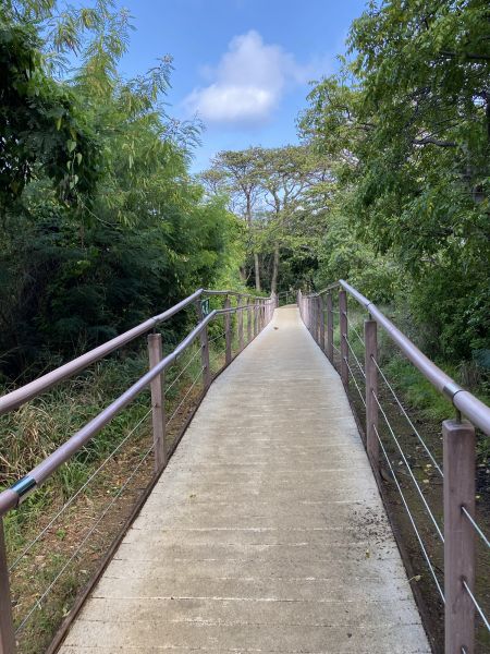 Cost of Footpath Construction in Monroe